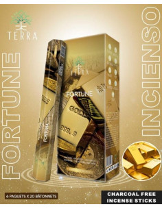 Encens Terra Fortune hexa sans charbon 30grs 2