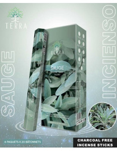 Encens Terra Sauge hexa sans charbon 30grs 2