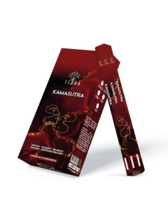 Encens Terra Kamasutra hexa sans charbon 30grs