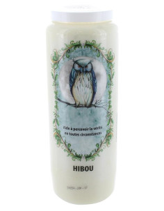 Neuvaine Animaux Totem Hibou