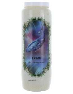 Neuvaine Animaux Totem Baleine