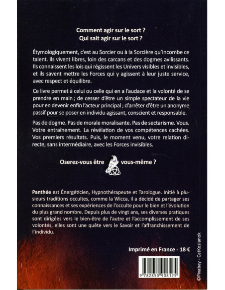 Devenir sorcier - Devenir sorcière - Panthée