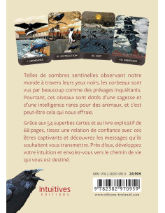 Oracle du corbeau - MJ Cullinane 2