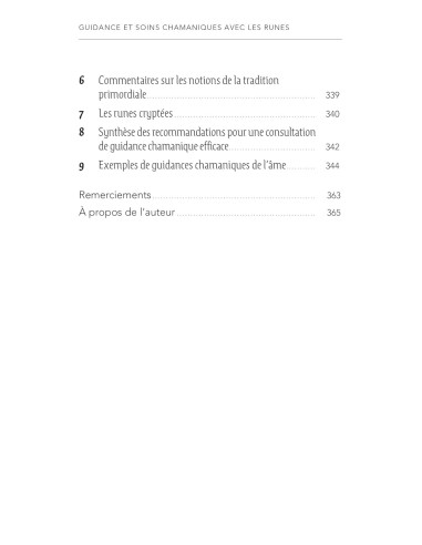 Guidance et soins chamaniques avec les runes -...