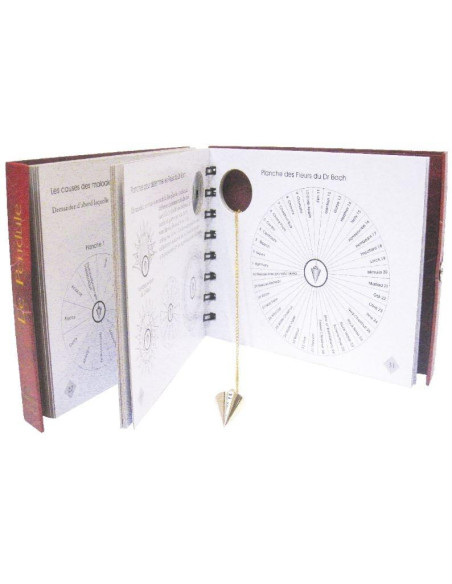 Le Pendule - Kit et Planches -  Markus Schirner