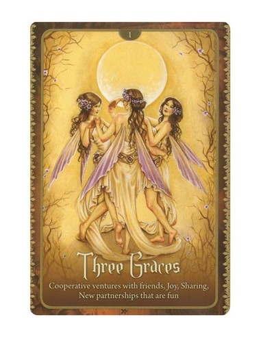 Wild Wisdom of the Faery Oracle [anglais]