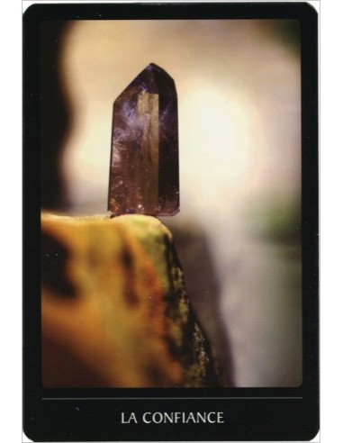 L'oracle cristal - Ces pierres qui nous parlent... (livre + cartes) - Thiercelin Delphine & Anxionnat Bruno