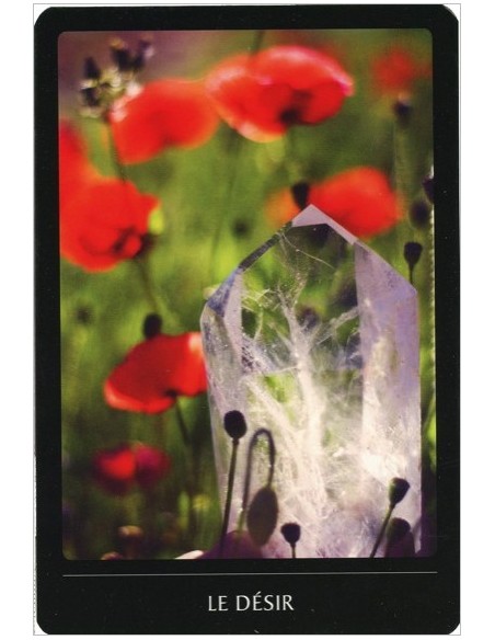 L'oracle cristal - Ces pierres qui nous parlent... (livre + cartes) - Thiercelin Delphine & Anxionnat Bruno