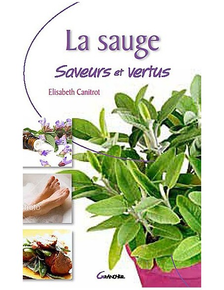 La sauge - Saveurs et vertus - Elisabeth Canitrot