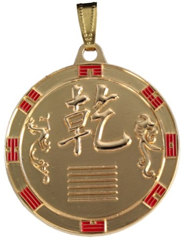 Médaille Kien 'La Force Active'