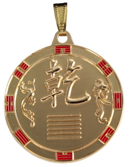 Médaille Kien 'La Force Active'