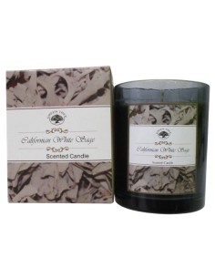 Bougie Green Tree Sauge Blanche
