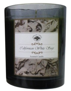 Bougie Green Tree Sauge Blanche 2