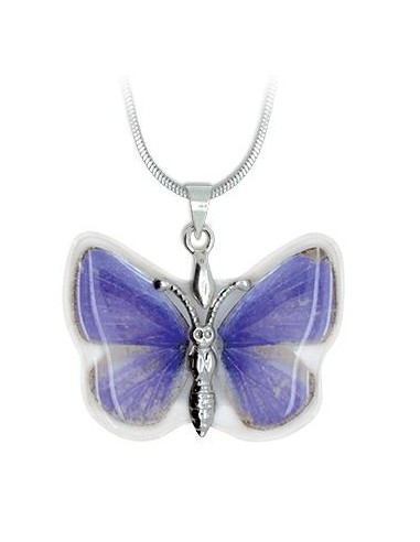 Effet papillon Violet