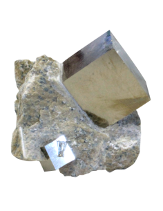 Cube Pyrite sur Gangue Grand