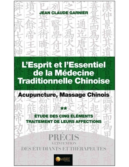 L'Esprit et l'Essentiel de la Médecine Traditionnelle Chinoise Tome 2