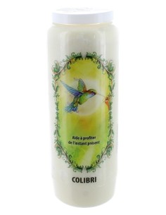 Neuvaine Animaux Totem Colibri