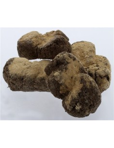 Encens rares : Terra Obscura - Aux Démons Nuisibles - Eveil de la conscience - 25 gr. 2