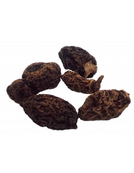 High John the Conqueror Root