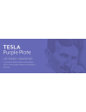 Tesla Générateur d'énergie vitale