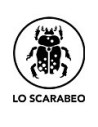 Lo Scarabeo